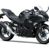 2026 Kawasaki Ninja® 500 ABS Metallic Flat Spark Black