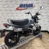 2025 Honda® Dax 125
